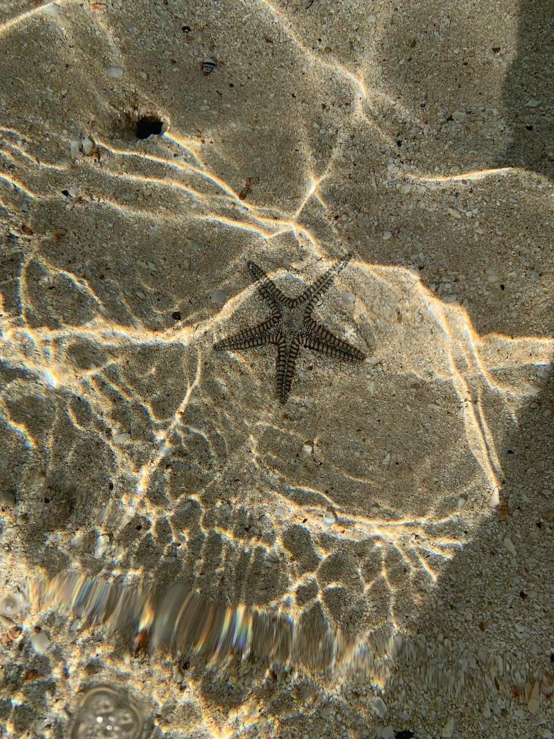unnamed image